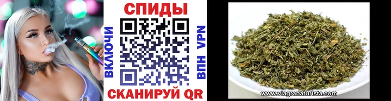 где найти   Екатеринбург  БУТИРАТ буратино 