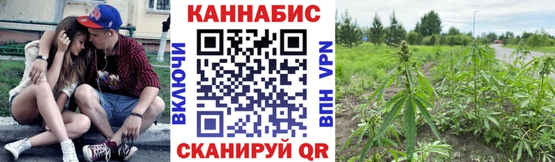 Бошки Шишки сатива  omg tor  Екатеринбург  цены наркотик 